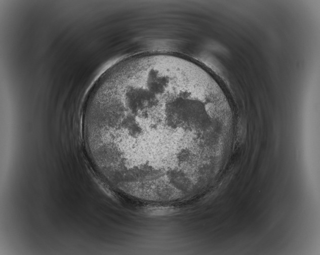 X0000086100886200704132145