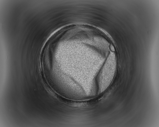 X0000086100887200704132145