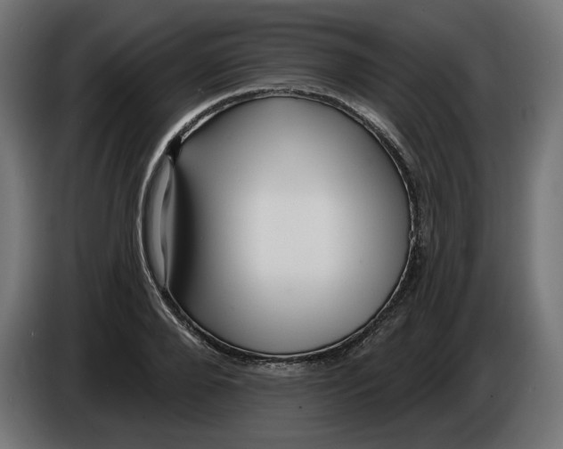X0000086100888200704132145