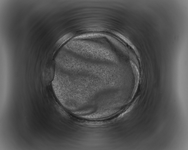 X0000086100889200704132145
