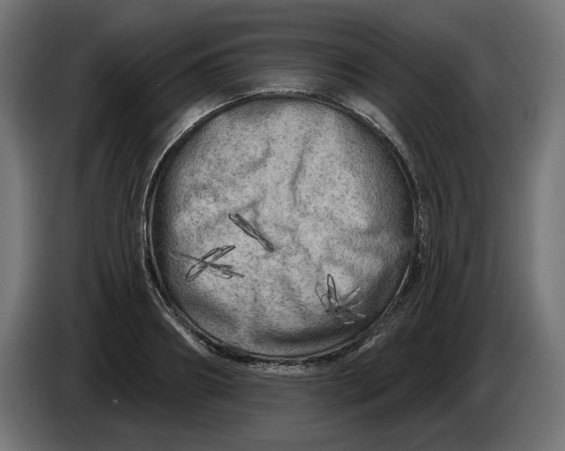 X0000086100890200704132145