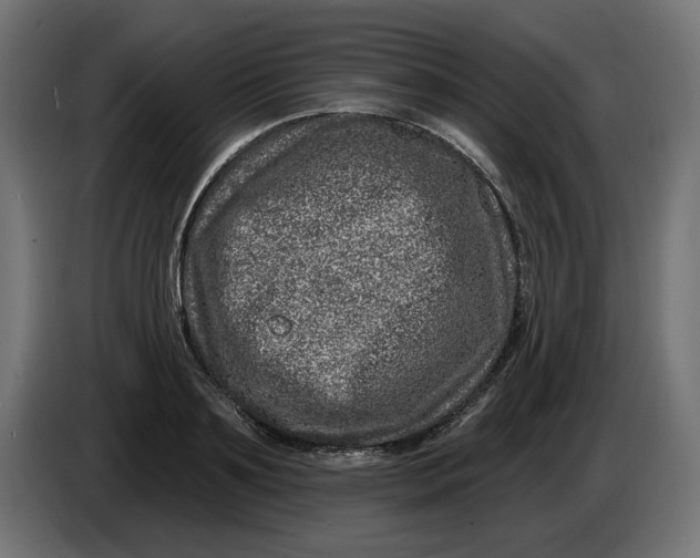 X0000086100891200704132145
