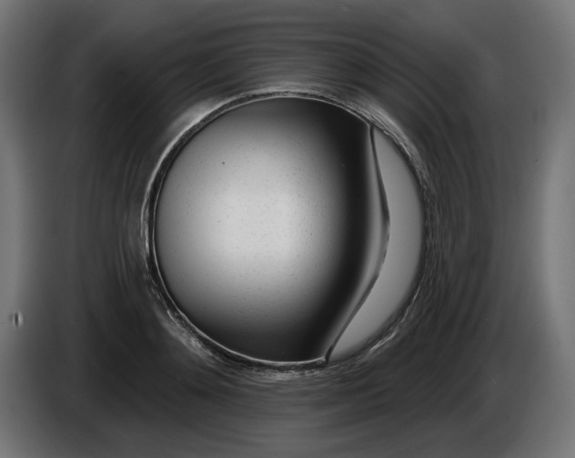 X0000086100892200704132145