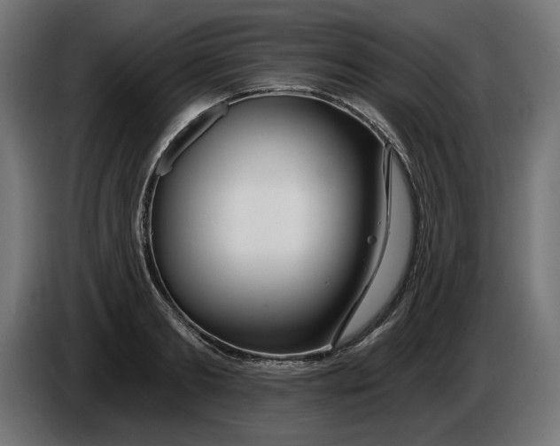 X0000086100893200704132145