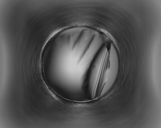 X0000086100894200704132145