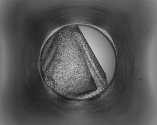 X0000086100895200704132145