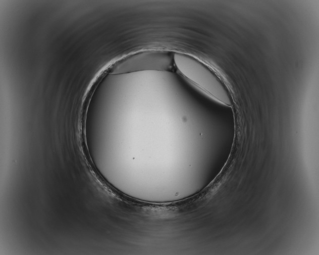 X0000086100896200704132145