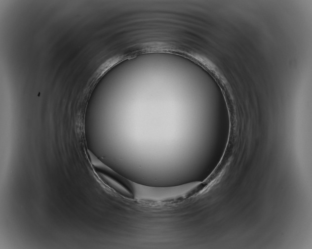 X0000086100897200704132145