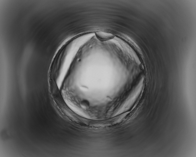 X0000086100899200704132145