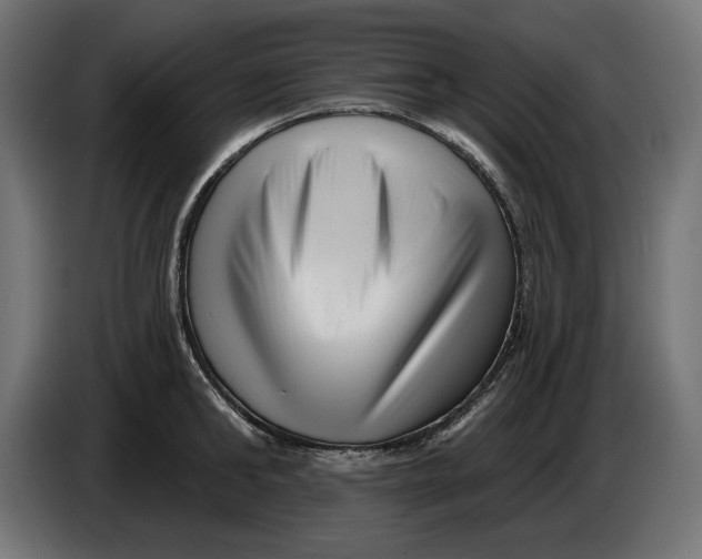 X0000086100902200704132145