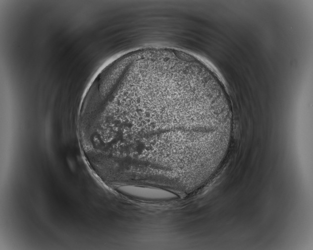 X0000086100903200704132145