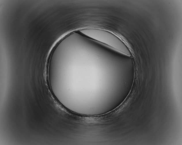 X0000086100904200704132145