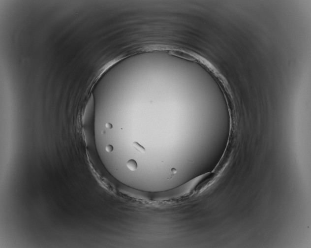 X0000086100905200704132145