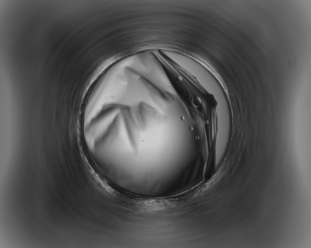 X0000086100906200704132145