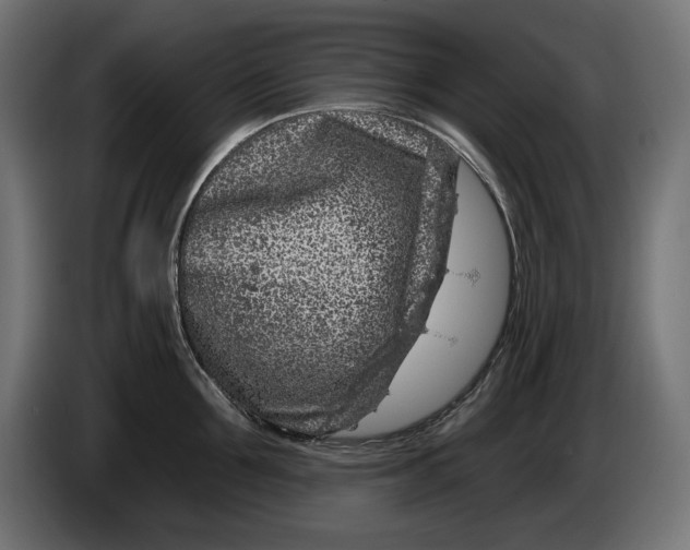 X0000086100907200704132145