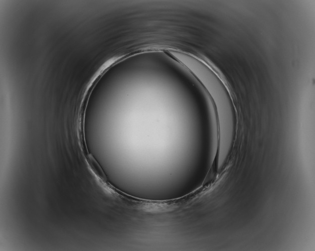 X0000086100909200704132145