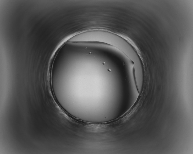 X0000086100910200704132145