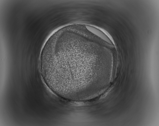 X0000086100911200704132145