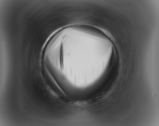 X0000086100912200704132145