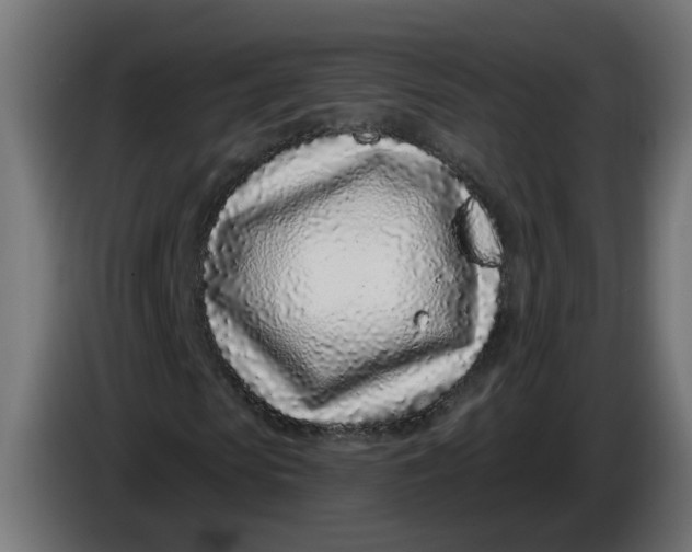 X0000086100913200704132144