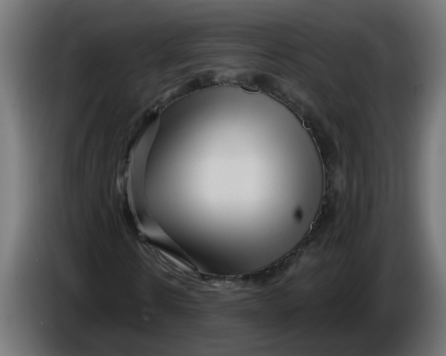 X0000086100914200704132144