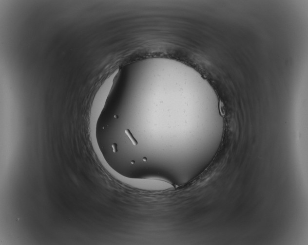 X0000086100916200704132144