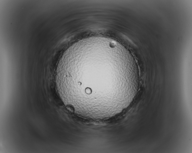 X0000086100917200704132144