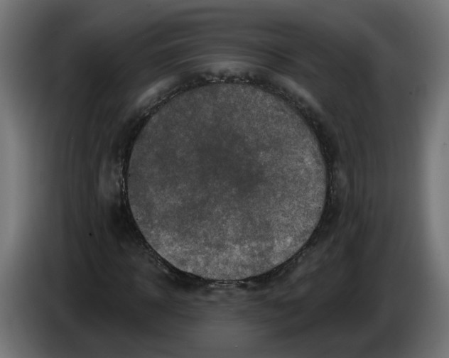 X0000086100918200704132144