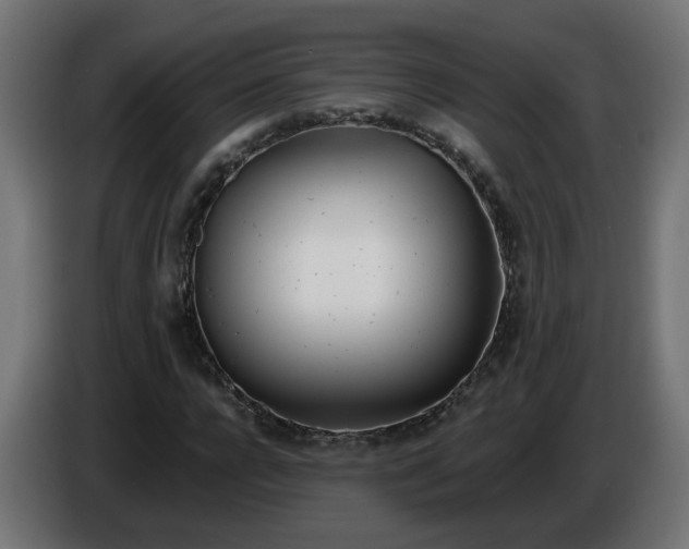 X0000086100920200704132144