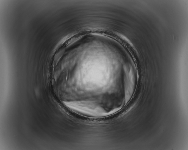 X0000086100922200704132144