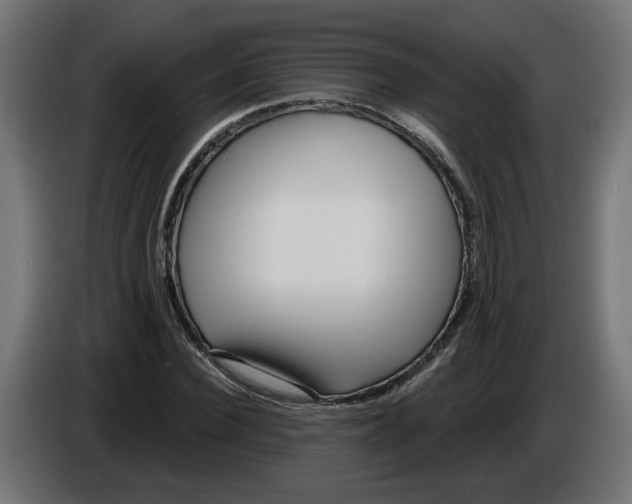X0000086100924200704132144