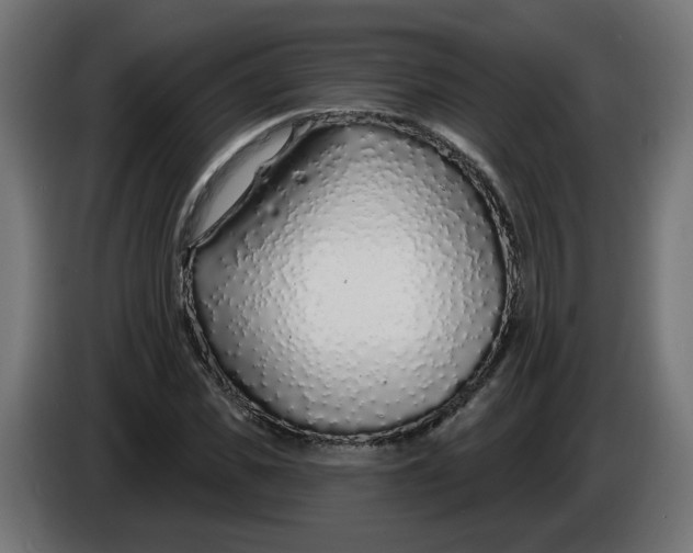 X0000086100925200704132144