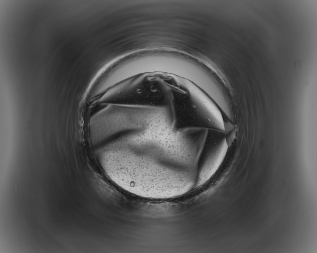 X0000086100926200704132144