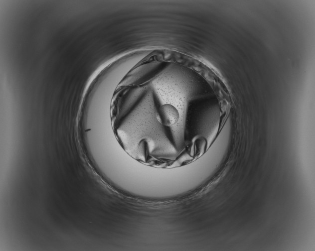 X0000086100928200704132144