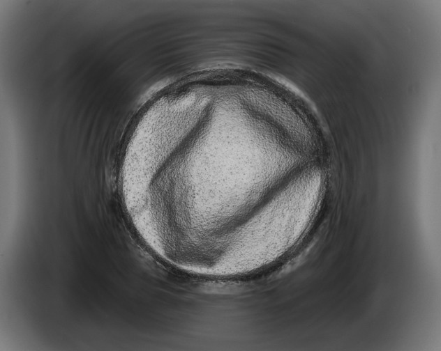 X0000086100929200704132144