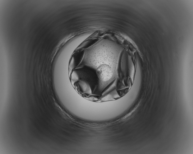 X0000086100930200704132144