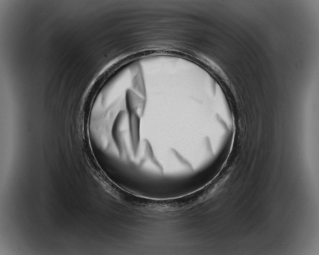 X0000086100931200704132144