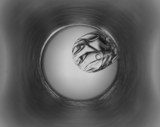 X0000086100932200704132144