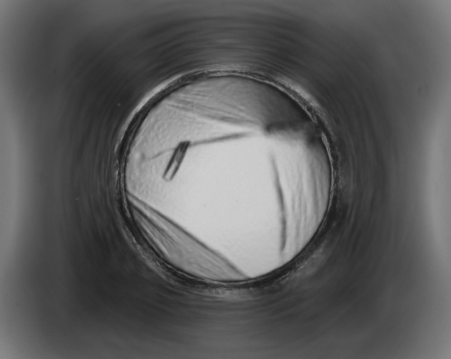 X0000086100933200704132144