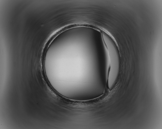 X0000086100935200704132144