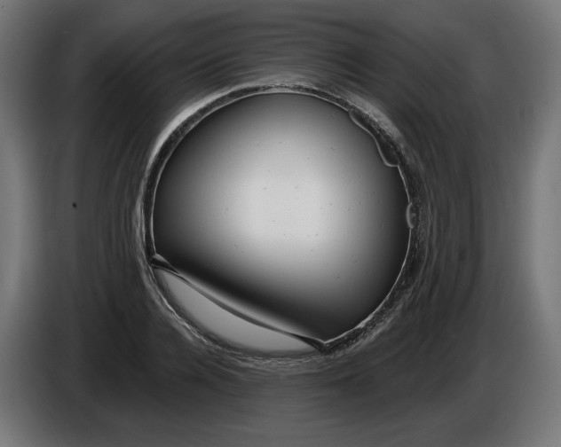 X0000086100936200704132144