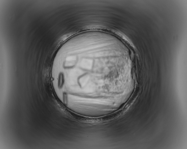 X0000086100937200704132144