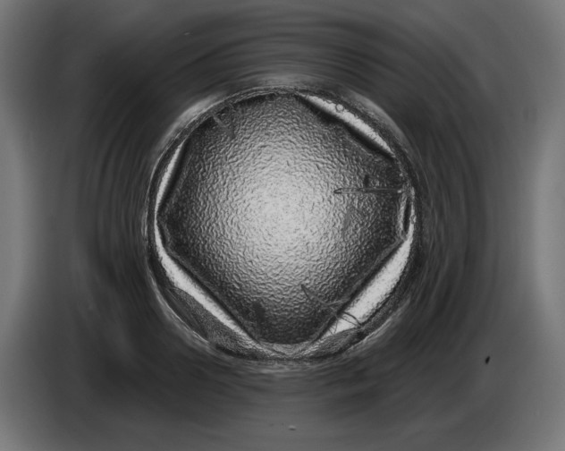 X0000086100938200704132144