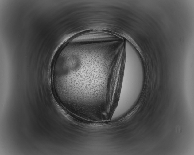 X0000086100939200704132144