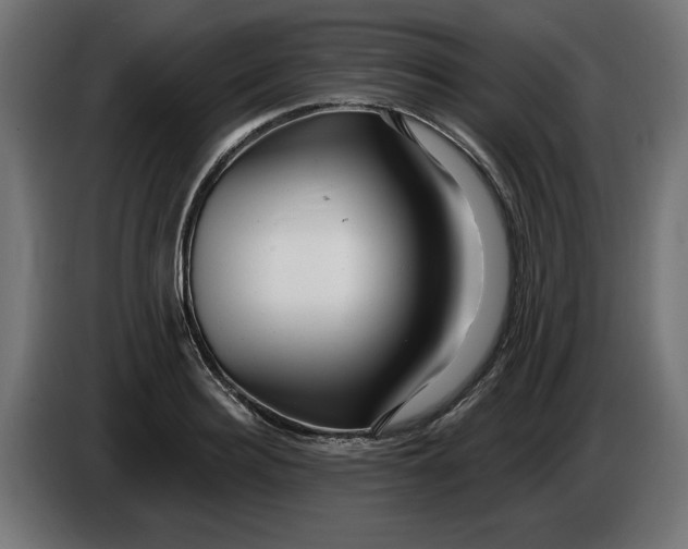 X0000086100940200704132144