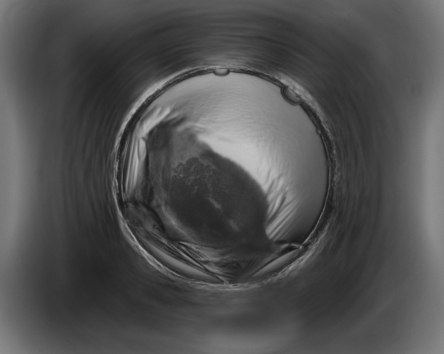 X0000086100941200704132144