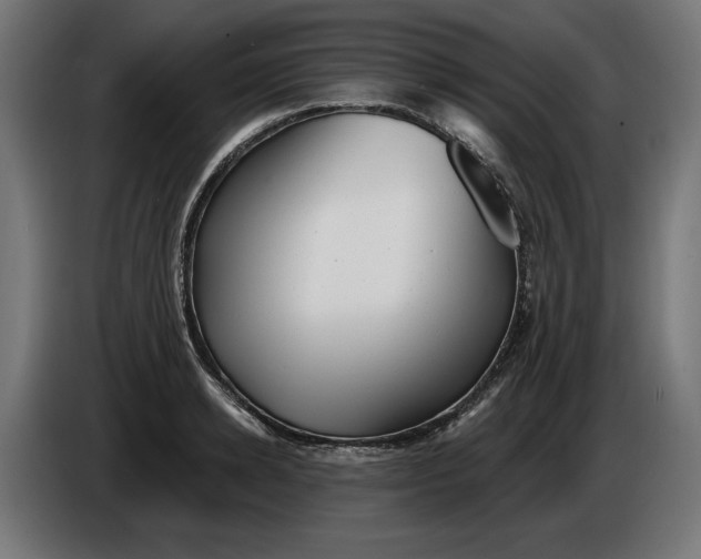 X0000086100942200704132144