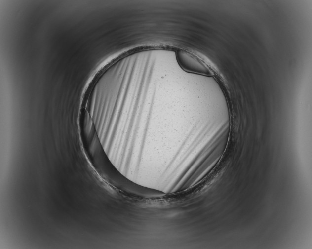 X0000086100943200704132144