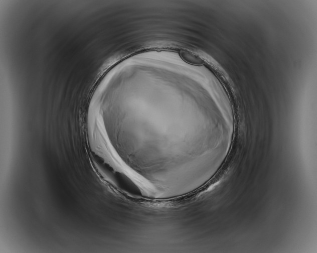 X0000086100945200704132144