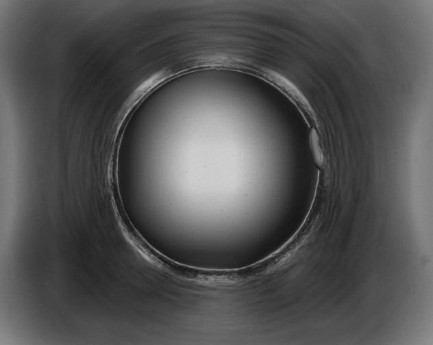 X0000086100946200704132144